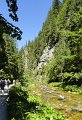 DSC03542 00